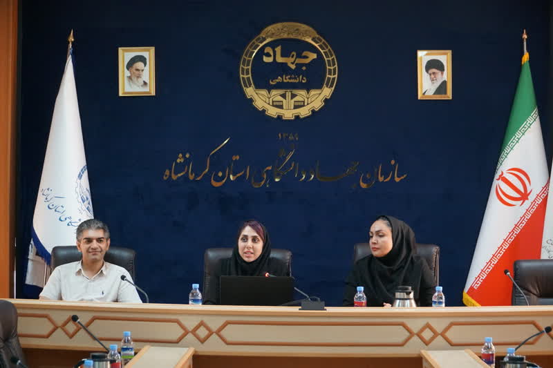 تصویر اصلی